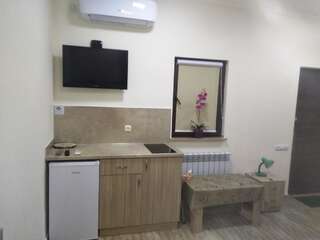 Апарт-отели Apart hotel Alex Ереван Апартаменты - 1-й этаж-9