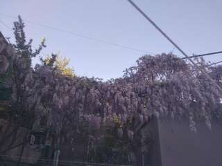 Апарт-отели Apart hotel Alex Ереван Апартаменты-21